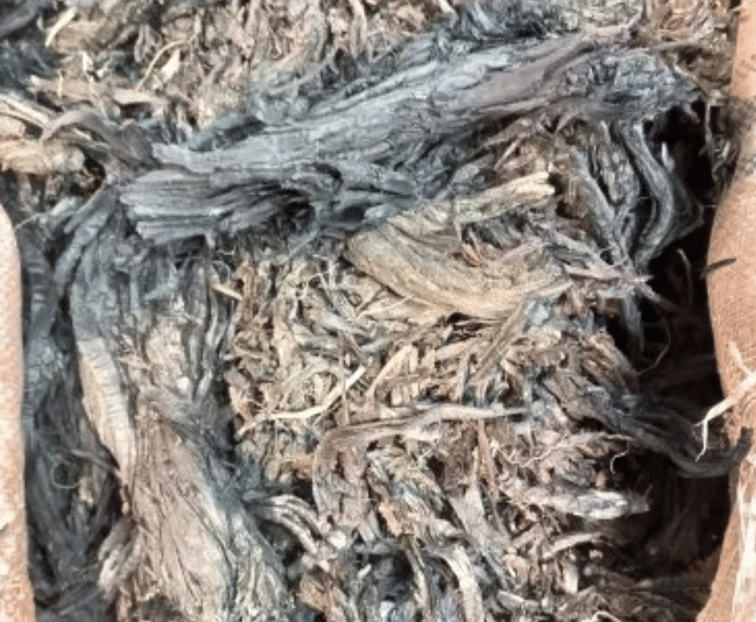 Ratanjot Alkanet Root